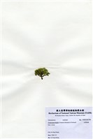藏品(白果胞藻)的圖片